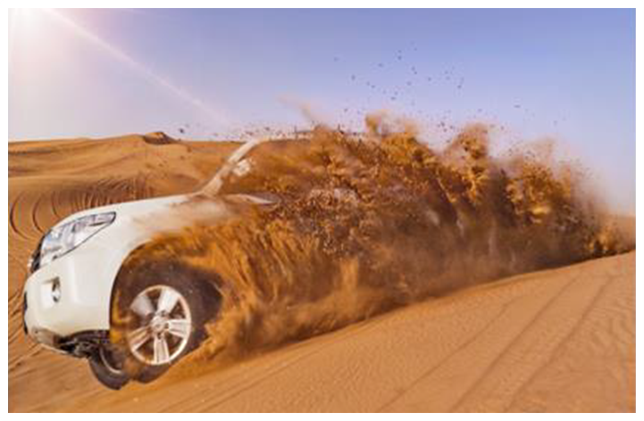 Desert Safari