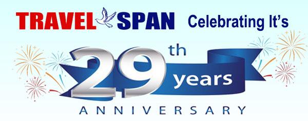 29 anniversary logo